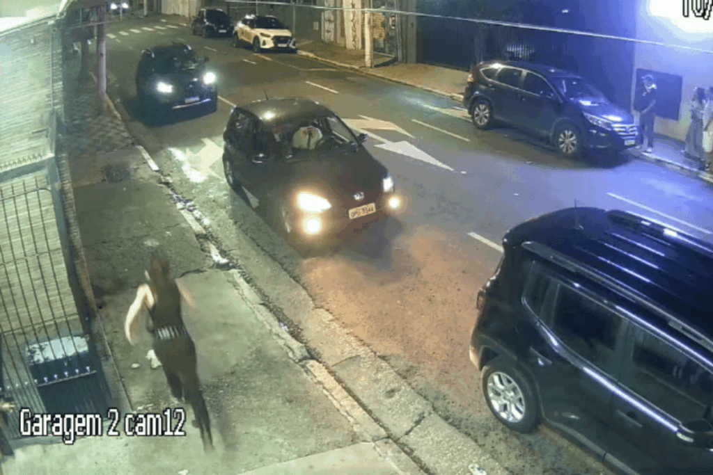 atriz-da-tv-globo-corre-atras-de-assaltante-no-centro-de-sp.-veja-video