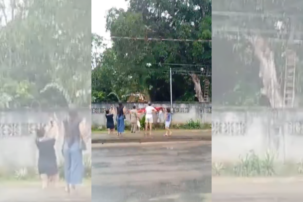 apos-mobilizar-bombeiros,-gato-preso-em-arvore-surpreende-no-resgate