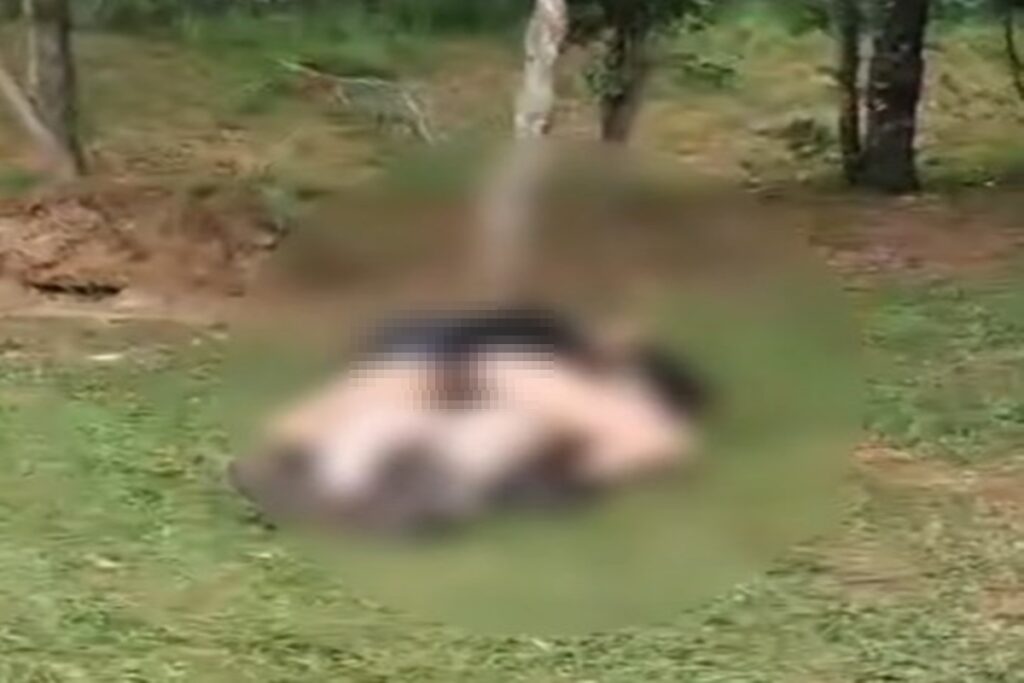 momento-intimo-em-parque-revolta-familias,-e-guarda-municipal-e-chamada.-veja-video