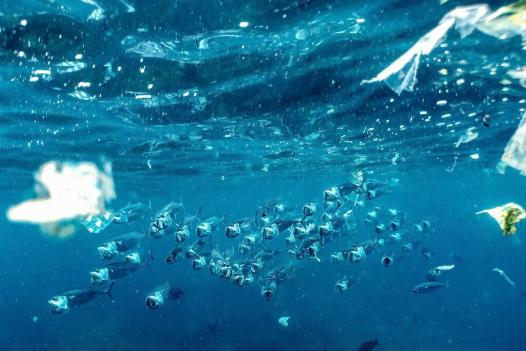 microplasticos-presentes-em-fertilizantes-podem-contaminar-praias