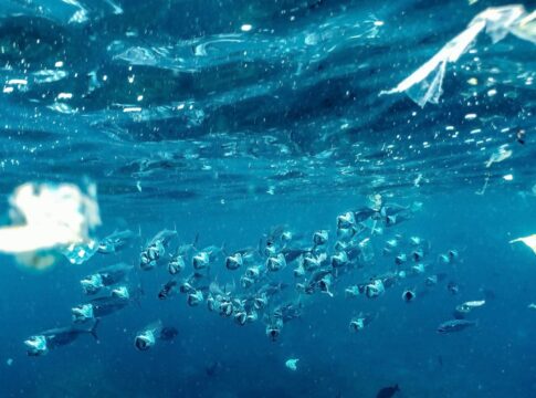 microplasticos-presentes-em-fertilizantes-podem-contaminar-praias