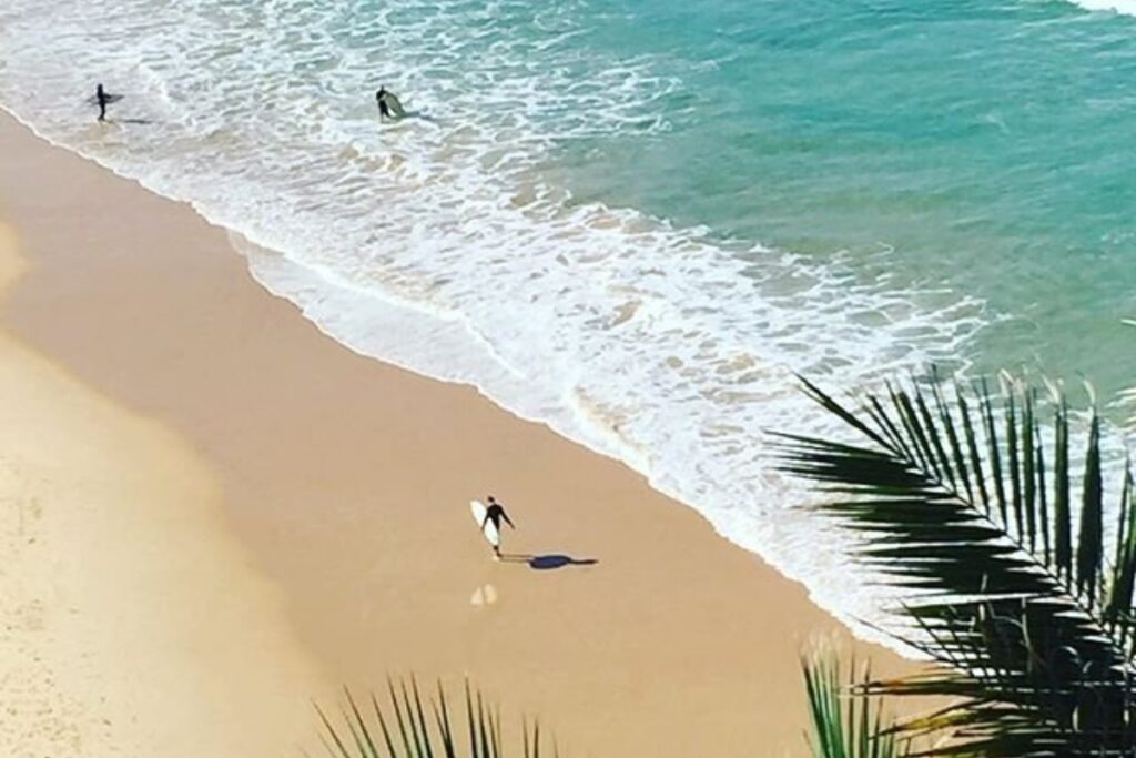 homem-e-atacado-por-tubarao-na-australia,-4o-ataque-em-menos-de-48-h