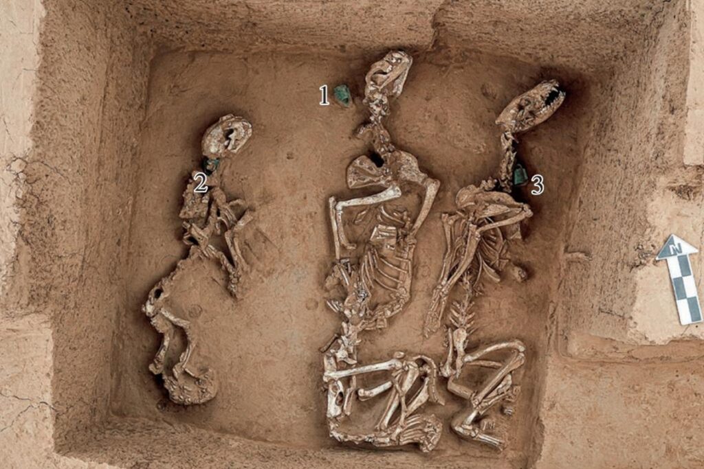 arqueologos-acham-fosseis-que-podem-ter-feito-parte-do-primeiro-zoo