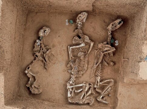 arqueologos-acham-fosseis-que-podem-ter-feito-parte-do-primeiro-zoo