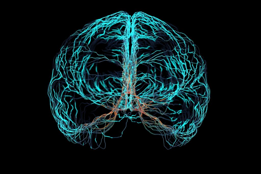 prevencao-da-demencia:-saiba-por-que-e-importante-comecar-antes-dos-60