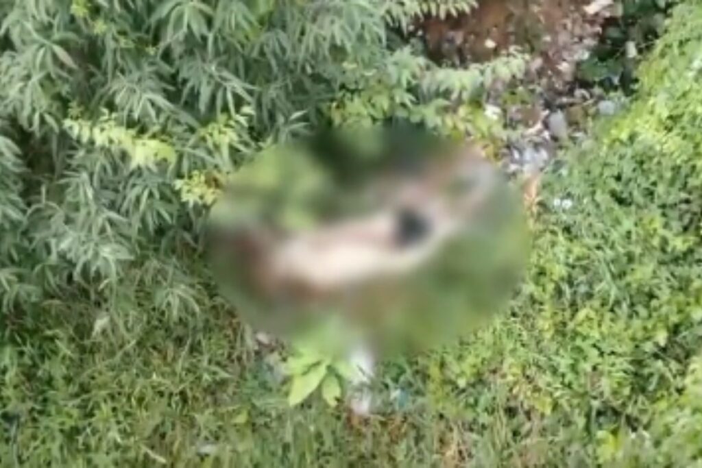 misterio:-drone-da-pm-encontra-corpo-desovado-em-area-de-mata.-video