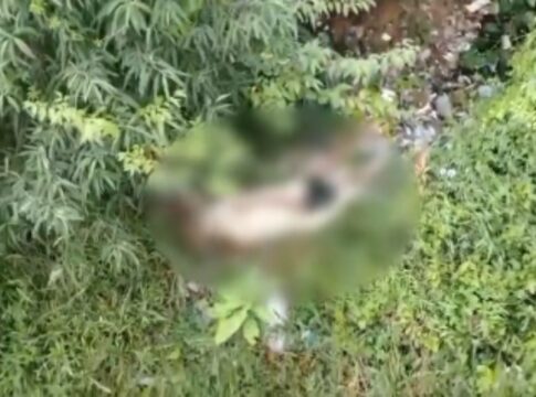 misterio:-drone-da-pm-encontra-corpo-desovado-em-area-de-mata.-video