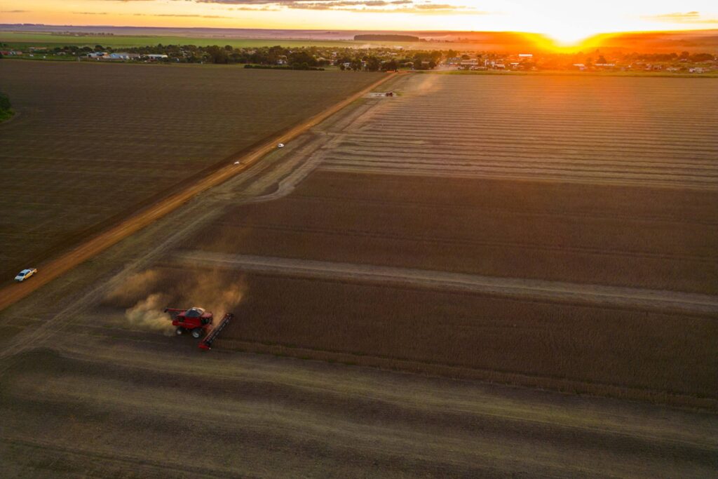o-que-e-moratoria-da-soja-e-por-que-gigantes-do-agro-estao-abandonando-o-acordo