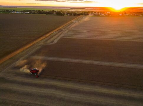 o-que-e-moratoria-da-soja-e-por-que-gigantes-do-agro-estao-abandonando-o-acordo