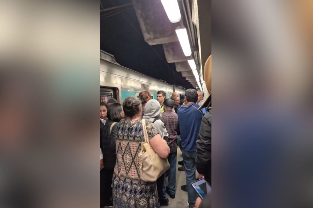 queda-de-arvore:-circulacao-de-trens-da-linha-8-diamente-sofre-interrupcao