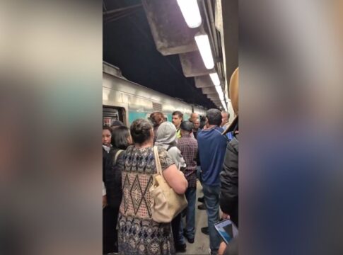 queda-de-arvore:-circulacao-de-trens-da-linha-8-diamente-sofre-interrupcao