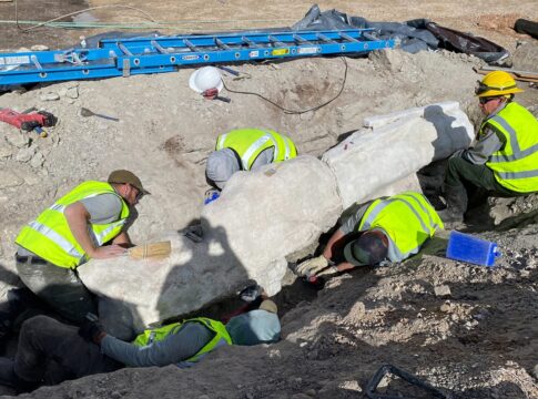 fossil-de-dinossauro-e-encontrado-em-obra-de-estacionamento-nos-eua