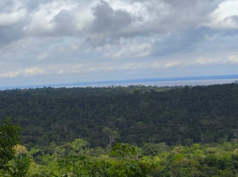 desmatamento-na-amazonia-eleva-calor-do-solo-florestal-durante-a-seca