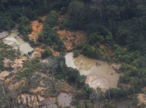 edital-prorroga-inscricoes-para-restauracao-em-terras-indigenas