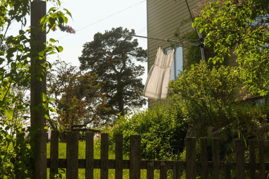 perfeita-para-o-verao:-veja-a-arvore-de-sombra-que-refresca-sua-casa