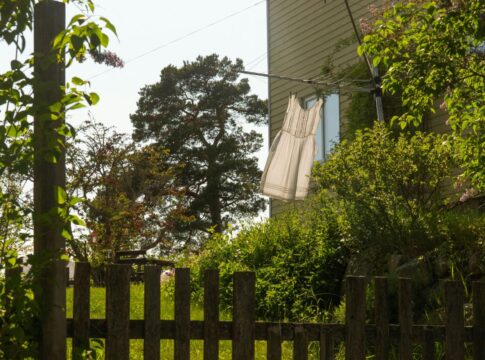 perfeita-para-o-verao:-veja-a-arvore-de-sombra-que-refresca-sua-casa