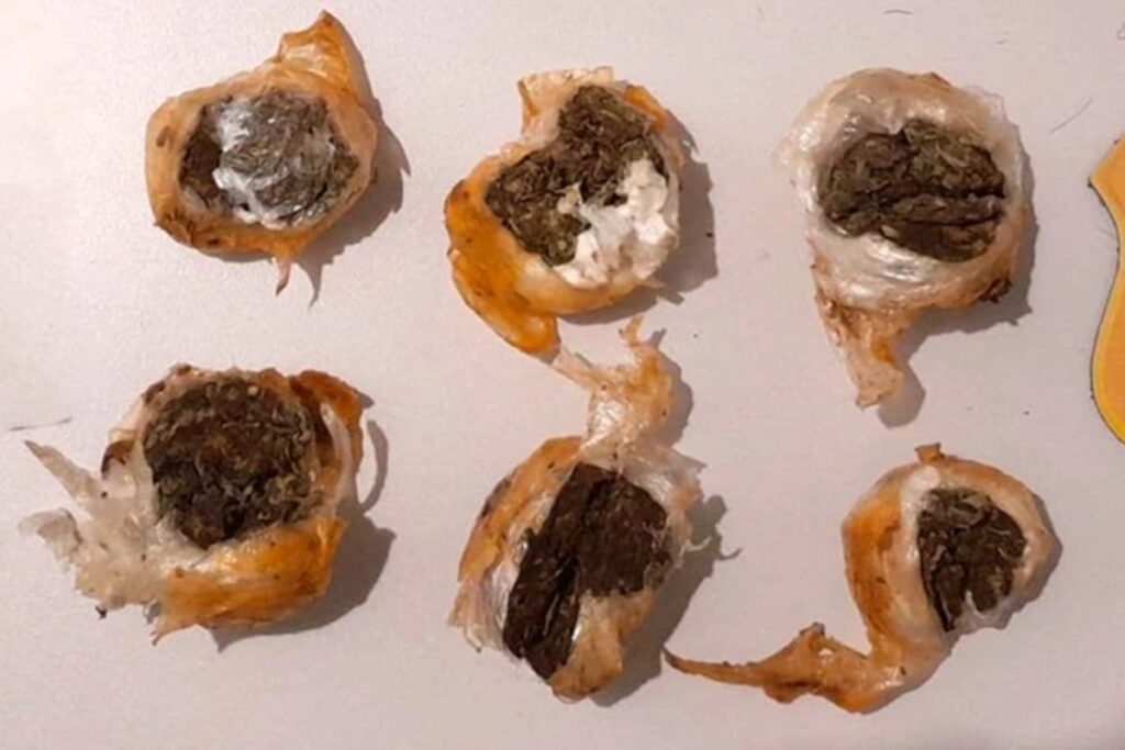 mulheres-sao-impedidas-de-entrar-em-presidio-com-drogas-em-marmita