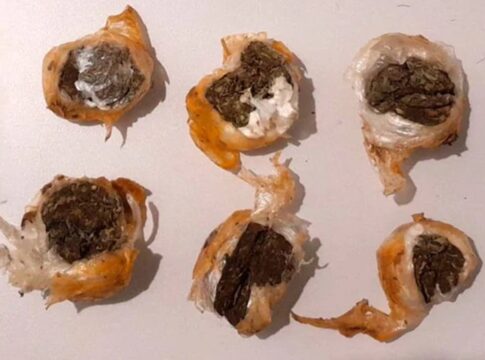 mulheres-sao-impedidas-de-entrar-em-presidio-com-drogas-em-marmita