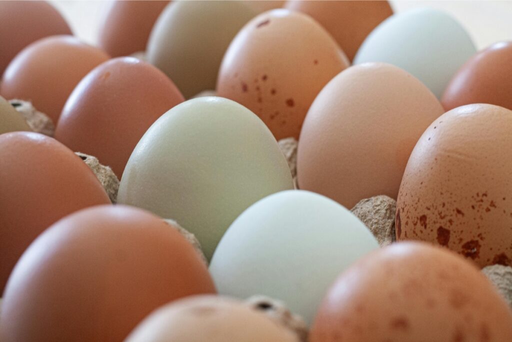 ovo-branco-ou-marrom:-existe-diferenca-nutricional?