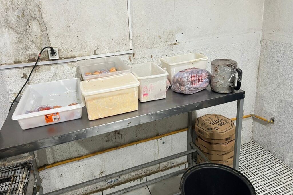 pizzaria-interditada-por-usar-comida-podre-vendia-250-unidades-por-dia.-veja-video