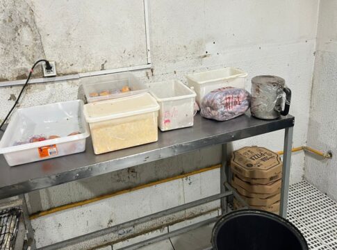 pizzaria-interditada-por-usar-comida-podre-vendia-250-unidades-por-dia.-veja-video