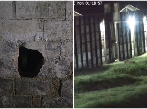 trio-fez-buraco-em-parede-para-tentar-fugir-do-complexo-de-gericino.-veja-video