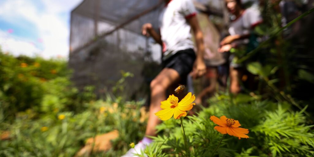 dia-da-educacao-ambiental-destaca-iniciativas-de-conscientizacao