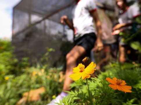 dia-da-educacao-ambiental-destaca-iniciativas-de-conscientizacao