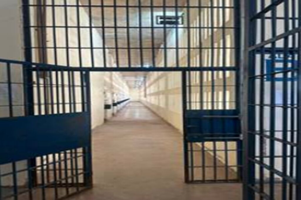 trafico-humano:-interpol-prende-mais-de-3,7-mil-e-cita-brasil