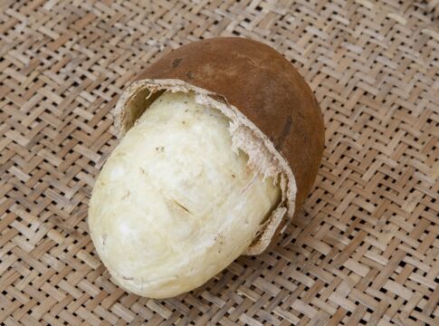 nice-cream-de-cupuacu:-receita-saudavel-e-gostosa-para-dias-quentes