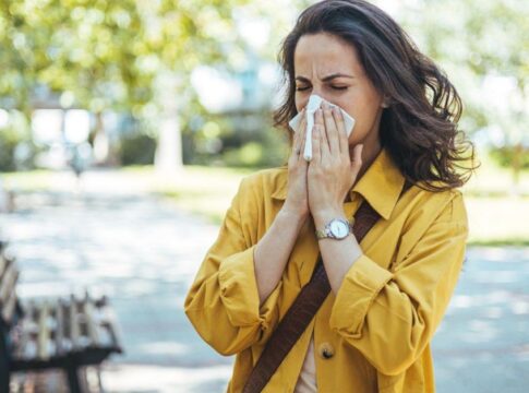 melhoram-o-ar:-estas-plantas-sao-perfeitas-para-quem-tem-rinite