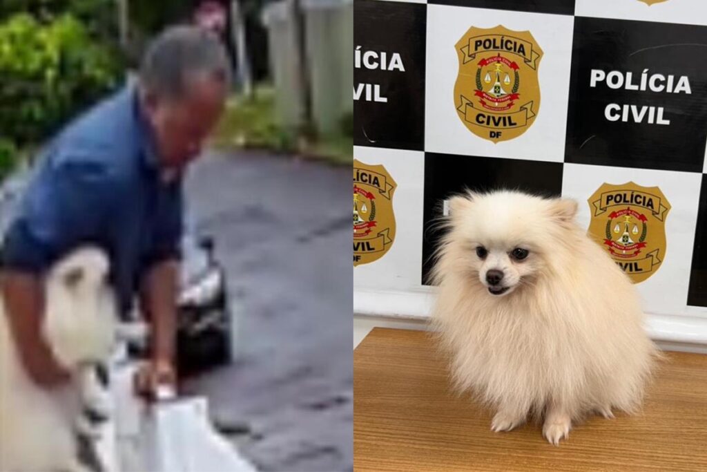 bandido-pula-muro-de-mansao-e-“sequestra”-spitz-alemao-no-lago-norte