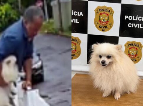 bandido-pula-muro-de-mansao-e-“sequestra”-spitz-alemao-no-lago-norte