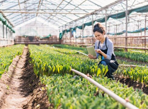 bndes-quer-impulsionar-mpmes-na-corrida-pela-economia-verde