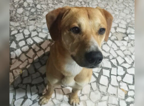 “carta-aberta”:-delegado-emociona-com-video-de-caramelo-jogado-no-mar.-veja-video