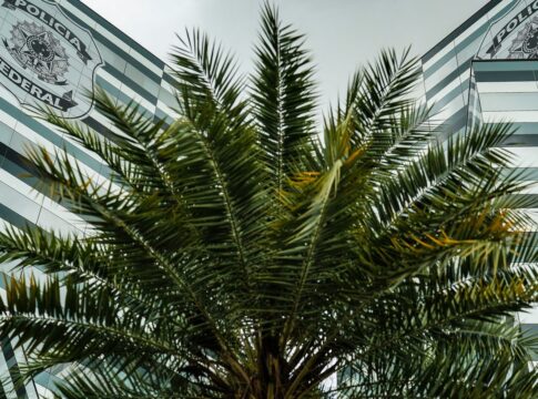 pf-adia-depoimentos-de-tres-investigados-no-inquerito-do-banco-master