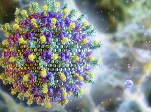 nipah:-saiba-mais-sobre-o-virus-que-preocupa-a-asia