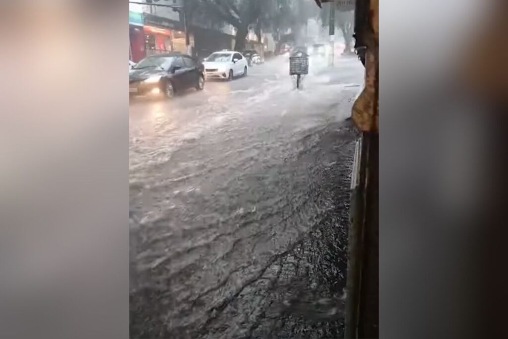 alagamentos-e-arvores-caidas:-os-transtornos-do-temporal-em-sao-paulo