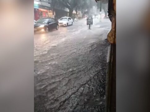 alagamentos-e-arvores-caidas:-os-transtornos-do-temporal-em-sao-paulo
