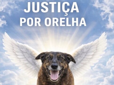 por-que-morte-de-orelha-comoveu-tanto-as-pessoas,-segundo-psicologa