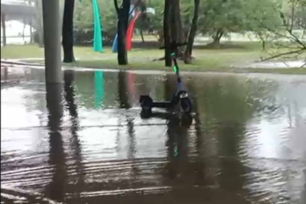 marquise-do-ibirapuera-alaga-tres-dias-apos-reinauguracao