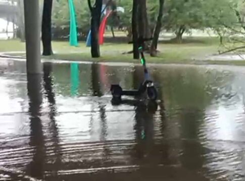 marquise-do-ibirapuera-alaga-tres-dias-apos-reinauguracao