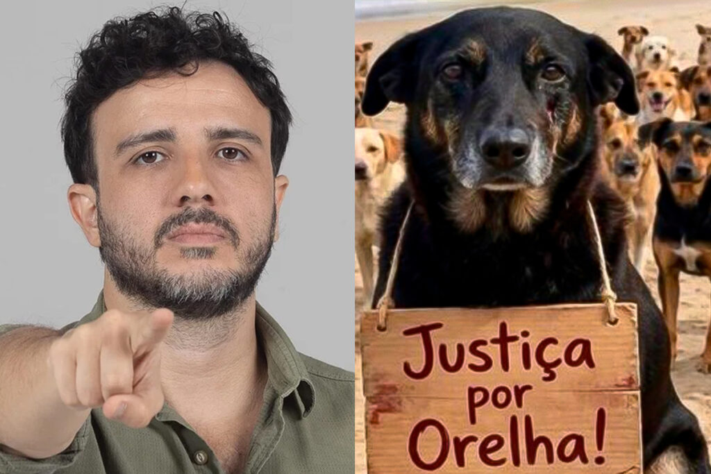 pre-candidato-ao-planalto-aciona-mp-por-morte-de-cao-orelha