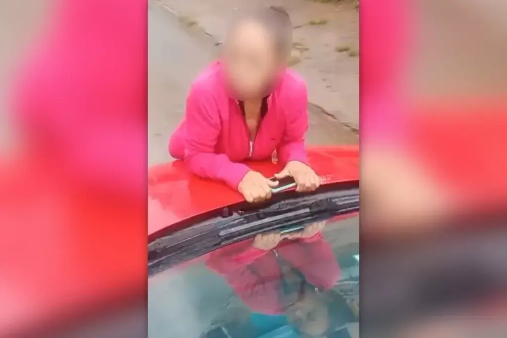 cadela-morre-em-clinica-e-tutoras-se-penduram-em-carro-de-veterinaria,-que-dirige-com-idosa-no-capo.-veja-video