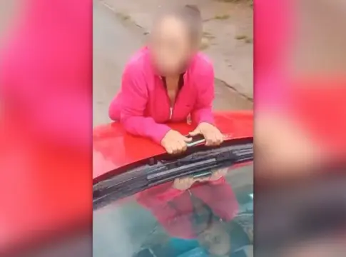 cadela-morre-em-clinica-e-tutoras-se-penduram-em-carro-de-veterinaria,-que-dirige-com-idosa-no-capo.-veja-video