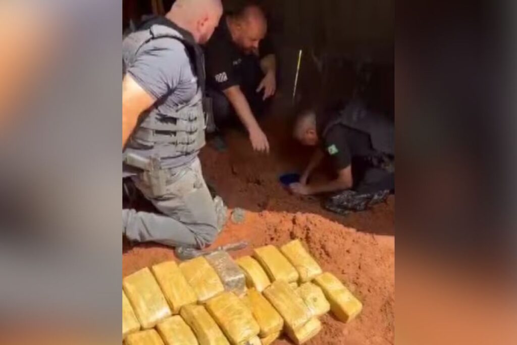 frango-com-ervas?-policia-encontra-maconha-escondida-em-galinheiro