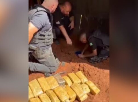 frango-com-ervas?-policia-encontra-maconha-escondida-em-galinheiro