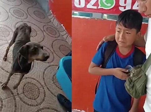 sem-dinheiro,-menino-leva-cadela-a-escola-e-faz-pedido-emocionante