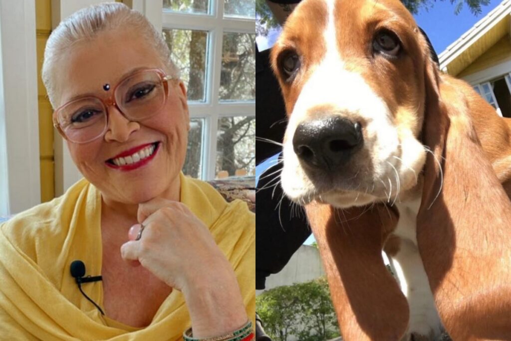 apos-morte-do-cao-orelha,-astrologa-revela-agressao-a-seu-cachorro