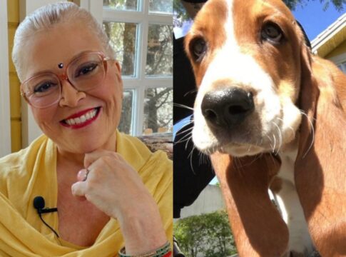 apos-morte-do-cao-orelha,-astrologa-revela-agressao-a-seu-cachorro